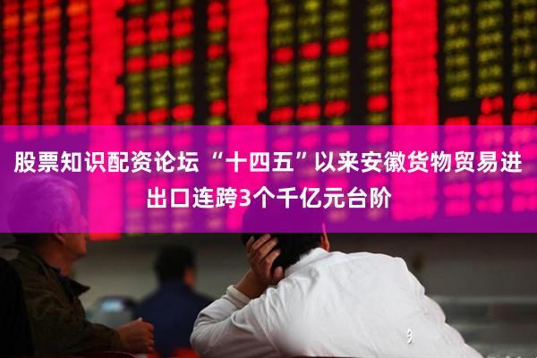 股票知识配资论坛 “十四五”以来安徽货物贸易进出口连跨3个千亿元台阶