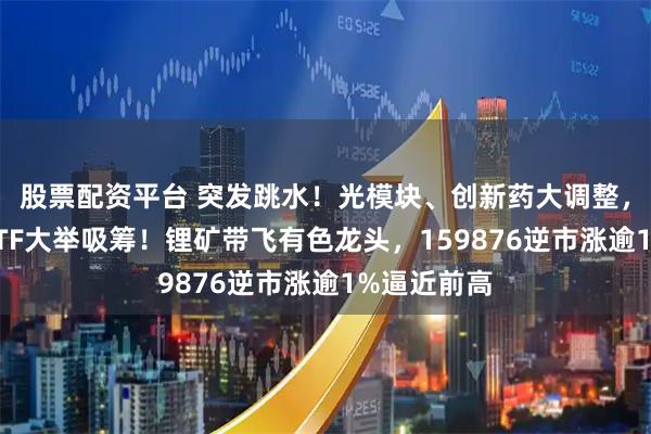 股票配资平台 突发跳水！光模块、创新药大调整，资金借道ETF大举吸筹！锂矿带飞有色龙头，159876逆市涨逾1%逼近前高