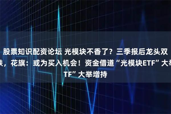 股票知识配资论坛 光模块不香了？三季报后龙头双双大跌，花旗：或为买入机会！资金借道“光模块ETF”大举增持