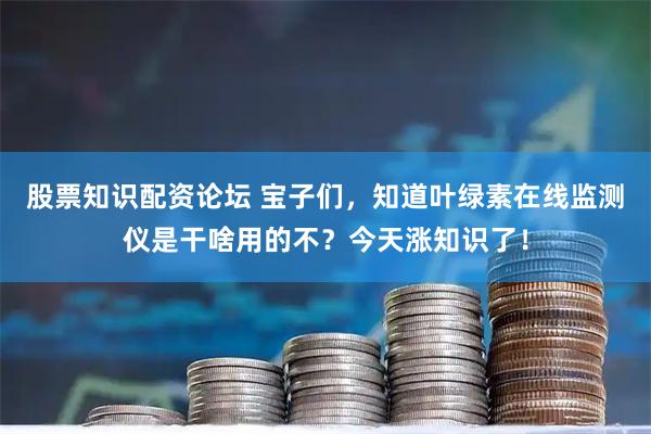 股票知识配资论坛 宝子们，知道叶绿素在线监测仪是干啥用的不？今天涨知识了！